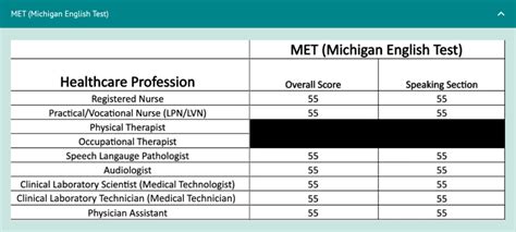 visa screen requirements|Everything Nurses Need To Know About Visa Screen.